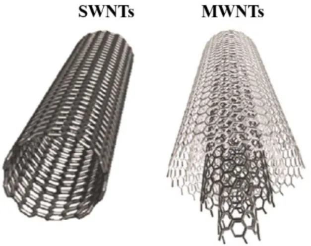 Figure 1.2 Structural representation of the single-walled nanotubes (SMWTs) and the multi-walled nanotubes (MWNTs) [10]