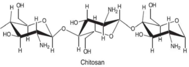 Figure 1.10 Schematic representation of chitosan chemical structure [75]. 