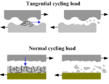 Figure 2.6 - Different types of fatigue wear due cyclic applied loads  3