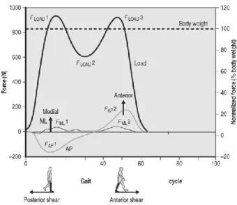 Figure 7 - The three components of the ground reaction force during normal  gait (Kirtley, 2006)