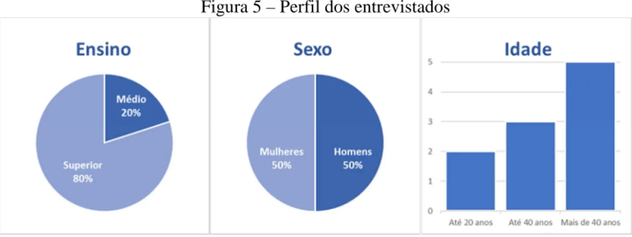 Figura 5 – Perfil dos entrevistados 