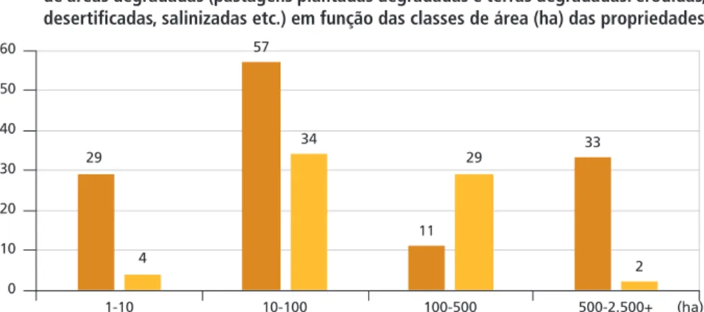 GRÁFICO 5 