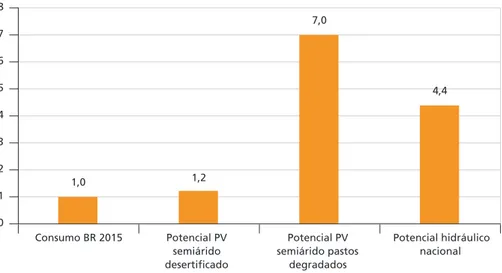 GRÁFICO 6