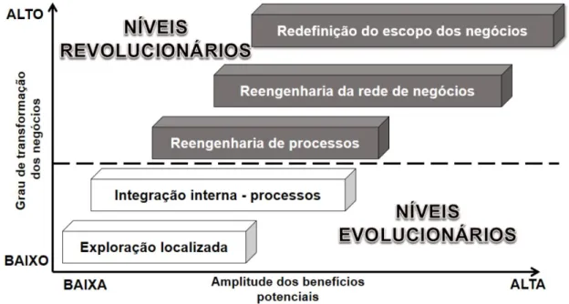 Fig. 3 - Os cinco níveis de transformação habilitados pelas TICs 