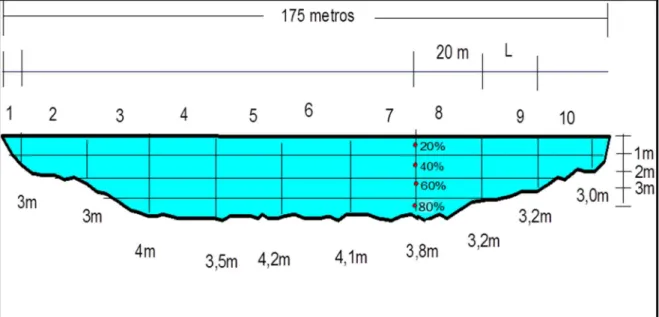 Figura 3 - Perfil das Seções de medida no rio Arienga na Baixa-mar –  Barcarena-Pa. 