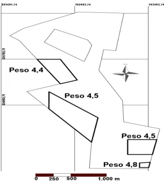 Figura 4 - Pesos médios obtidos associados aos níveis de fragilidade ambiental das  áreas estudadas no parque ecológico Ezechiel Heringer (Brasília-DF) sendo: muito  fraca (1), fraca (2), média (3), forte (4) e muito forte (5) 