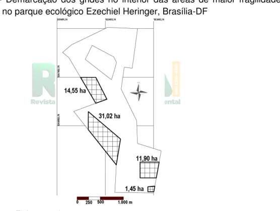 Figura  3  -  Demarcação  dos  grides  no  interior  das  áreas  de  maior  fragilidade  ambiental no parque ecológico Ezechiel Heringer, Brasília-DF 