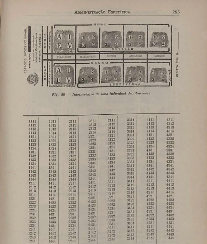 Fig.   50  __   Interpretação  de  uma  individual  dactiloscópica