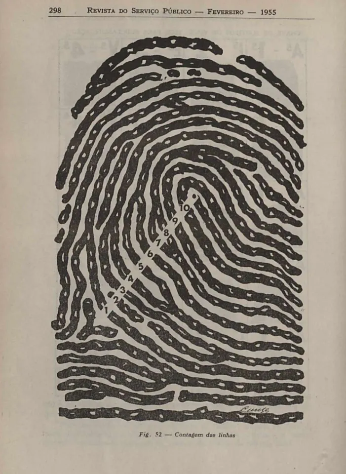 Fig.   52  —   Contagem  das  linhas