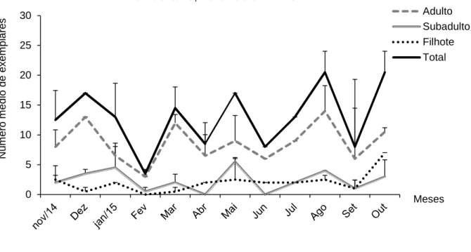 Figura 6. Flutuação média mensal de capivaras durante o período de novembro/14 a  outubro/15, no Saco da Fazenda