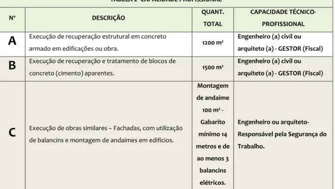 TABELA 2- CAPACIDADE PROFISSIONAL 