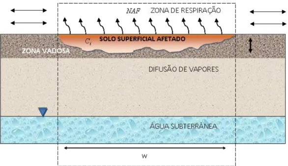 Figura 12 – Cenário de transporte e atenuação natural entre fases, solo superficial  (profundidade de 30 cm)