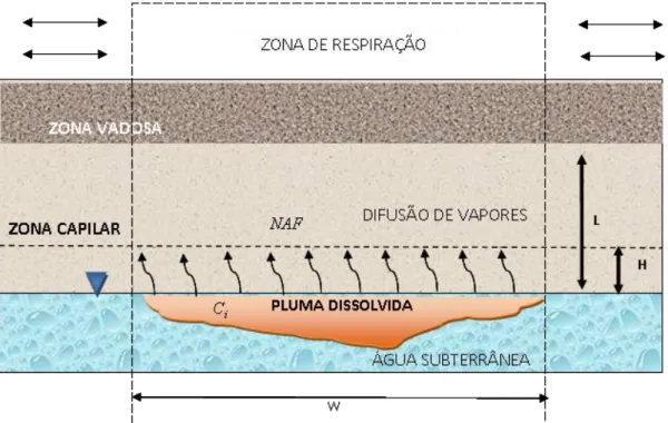 Figura 14 - Cenário de transporte e atenuação natural entre fases, água  subterrânea, nível freático abaixo de 640 cm