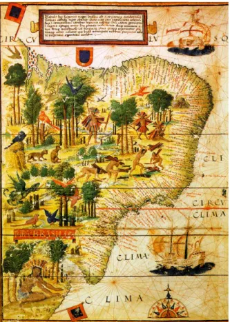 Figura 29. Mapa Te rra Brasilis 23