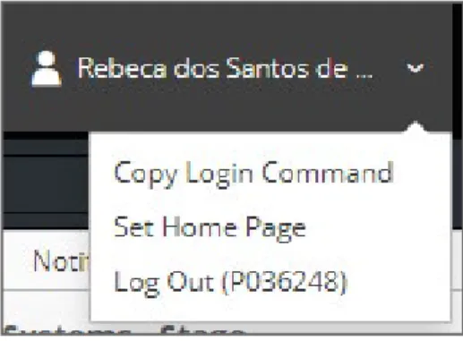 Figura 15 - Cópia do comando do login.