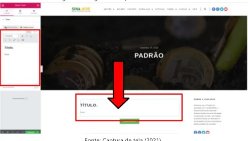 Figura 15 - Página de Edição de Post do Elemento