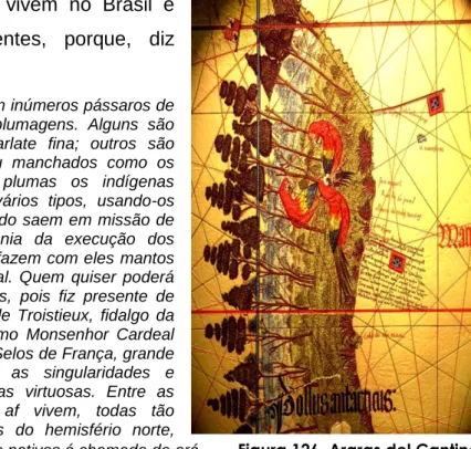 19  Figura 126. Araras do planisfério del Cantino . In: Malheiro Dias, op. cit. Anexo