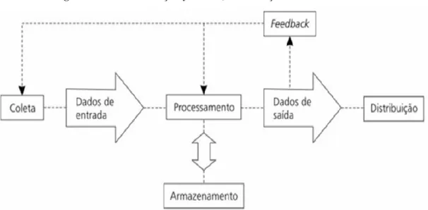 Figura 1 – Retroalimentação (feedback) como função de autonomia dos SI 