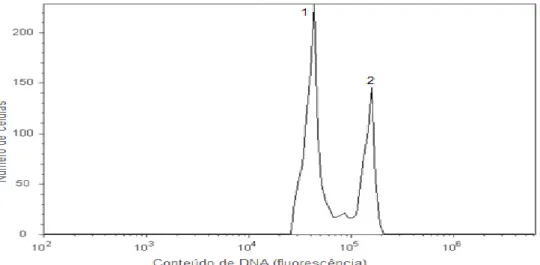 Figura  2.  Histograma  obtido  por  análise  de  citometria  de  fluxo  de  amostra  de  folha  de  tangerineira  ‘Cravo’(Citrus  reticulata  Blanco)  diploide  (pico  1)  com  amostra de folha do controle diploide Crotalaria breviflora DC., (pico 2)