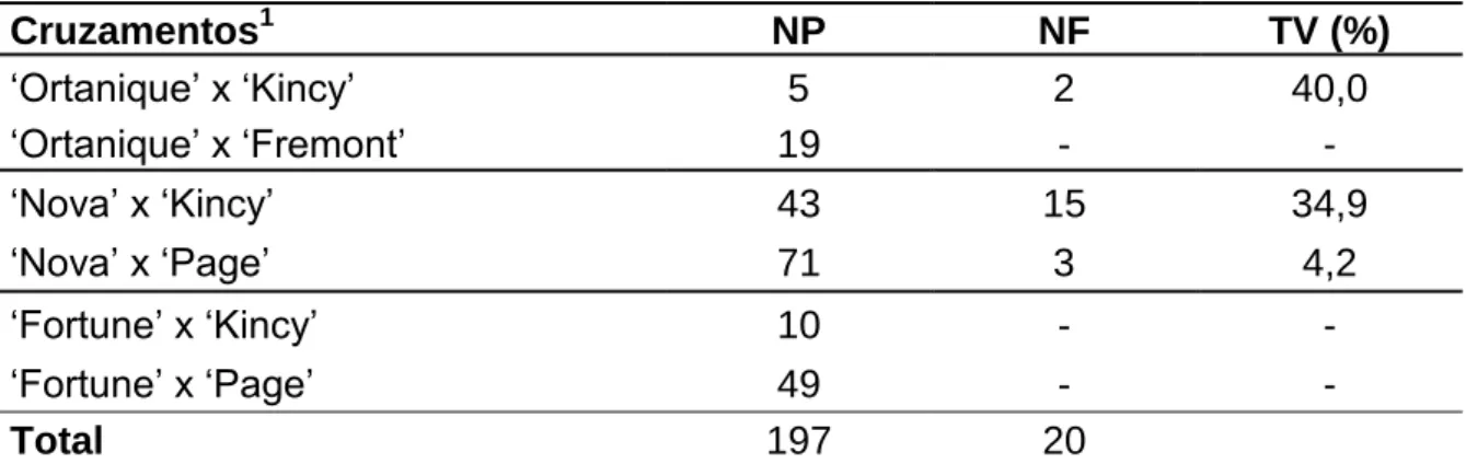 Tabela 4. Cruzamentos controlados realizados em Cruz das Almas,  Ba.  Número  de flores polinizadas (NP), número de frutos obtidos após as polinizações (NF) e  taxa de vingamento dos frutos (TV)