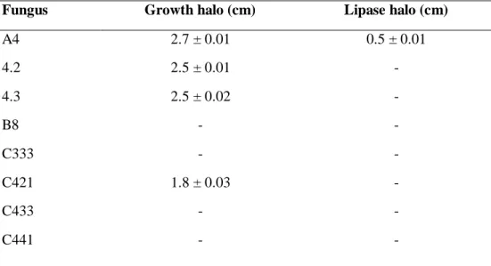 Table 2. Fungal growth halo (cm) and enzyme halo (cm) produced by filamentous fungi incubated for four days at 30 ºC  in a bacteriological incubator in solid culture medium for lipases