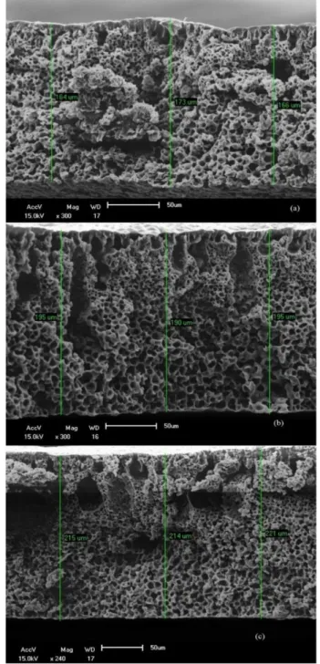 Figura 3. Microscopia eletrônica de varredura de membranas de PA6 + 5% de argila (imersão) com a adição de 5% de  KCl (a), 10% de KCl (b) e 15% de KCl (c)