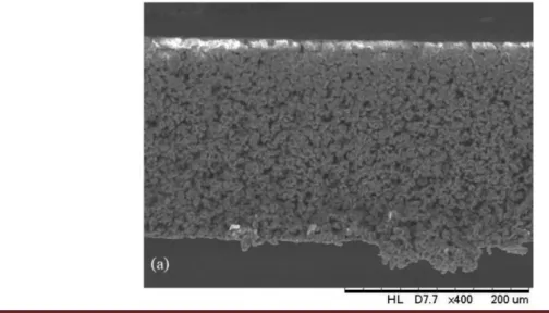 Figura 4. Microscopia eletrônica de varredura de membranas de PA6 (evaporação de solvente) com concentração de  polímero de 26% (a), 28% (b) e 30% (c)