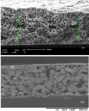 Figura 1. Microscopia eletrônica de varredura de membranas de PA6 puras formadas por (a) imersão e (b) evaporação  de solvente