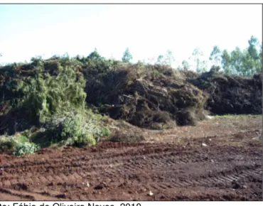 Figura 1. Área de compostagem de galhos e resíduos de podas de árvores no aterro  sanitário de Toledo-PR, 2010 