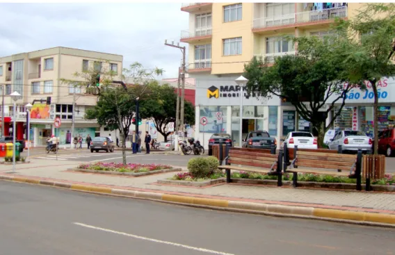 Foto 2:  Revitalização de canteiros na Avenida Getúlio Vargas 