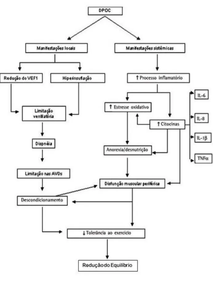 Figura 1 - Fisiopatologia das manifestações sistêmicas e locais da doença pulmonar obstrutiva crônica  que podem levar a redução do equilíbrio