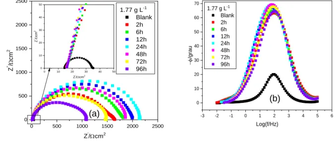 Figure  5-  EIS  diagrams  for  SAE  1008  carbon  steel  in  HCl  0.5  mol.L -1   in  the  presence  avocado  seed  for  different  immersion periods: (a) Nyquist, (b) Bode Phase