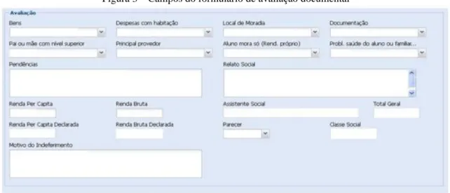 Figura 3 – Campos do formulário de avaliação documental 
