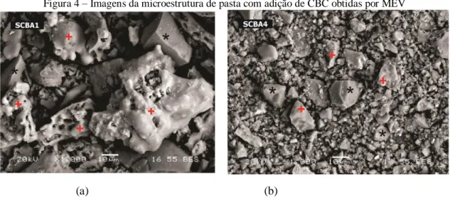 Figura 4 – Imagens da microestrutura de pasta com adição de CBC obtidas por MEV  