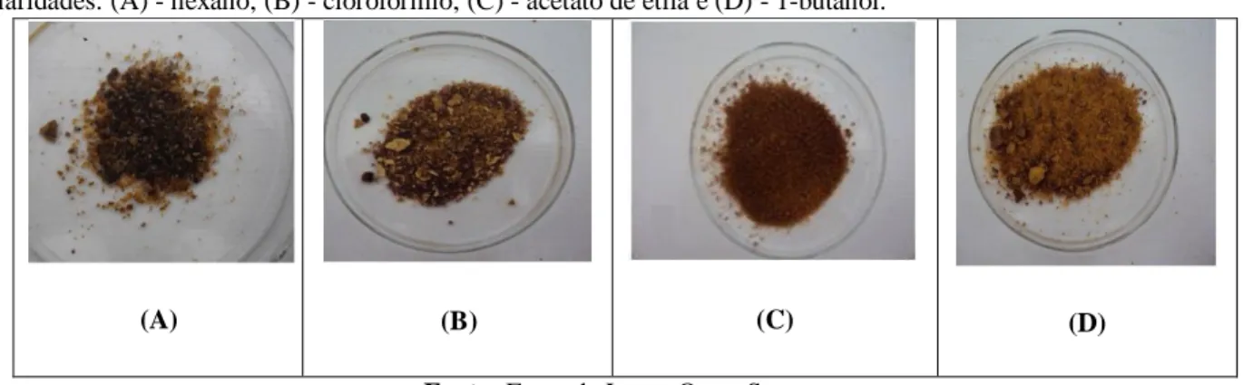 Figura  2  -  Extratos  particionados  a  partir  do  extrato  bruto  da  entrecasca  de  P