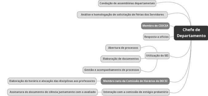 Figura 3 – Chefe do Departamento