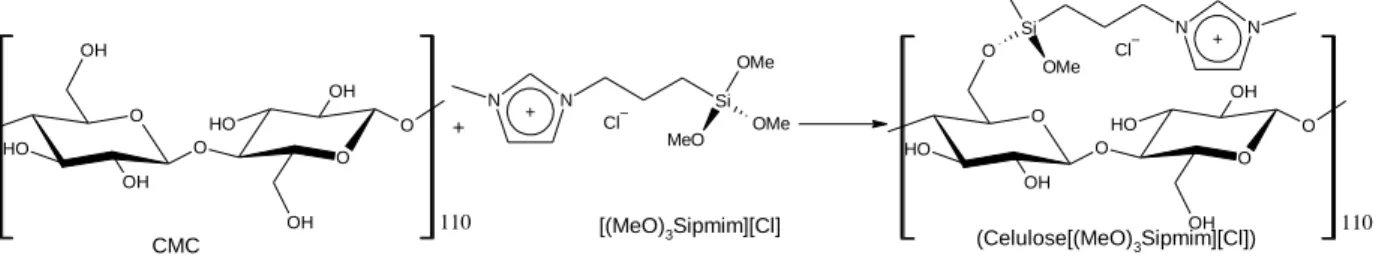 Figura 6 -  Processo de funcionalização da celulose com o líquido iônico  [(MeO) 3 Sipmim][Cl]- (Celulose[(MeO) 3 Sipmim][Cl])