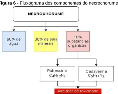 Figura 6 - Fluxograma dos componentes do necrochorume 