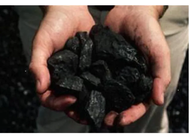 Figura 2: Carvão Vegetal Granulado 