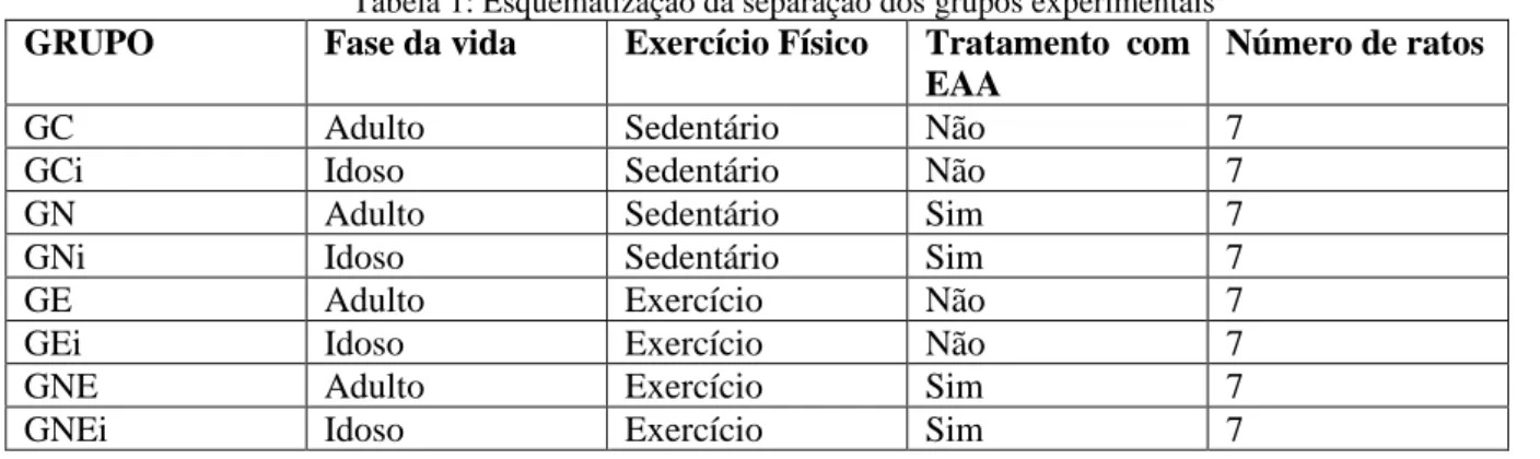 Tabela 1: Esquematização da separação dos grupos experimentais  GRUPO  Fase da vida  Exercício Físico  Tratamento  com 