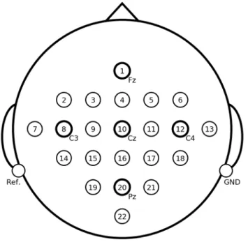 Figura 1 – Disposição dos eletrodos.
