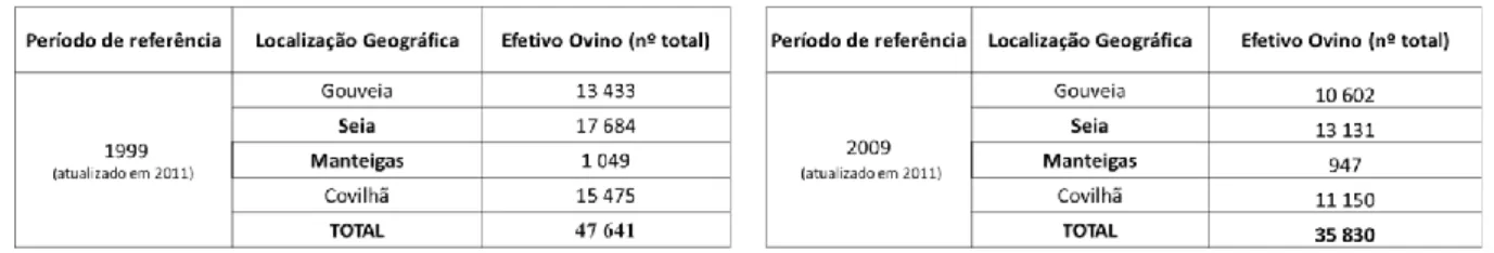Tabela 8- Número de efetivo Ovino para os concelhos de Gouveia, Seia, Manteigas, Covilhã