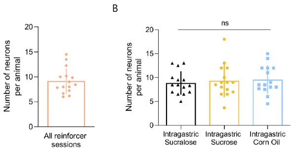 Figure 4.3 Mean area under the curve receiver operating (auROC) VTA dopaminergic neuronal traces are  distinct between different reinforcer sessions