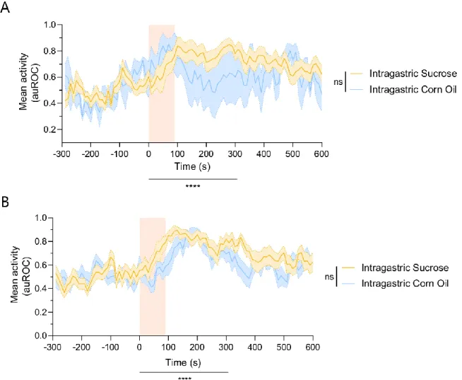 Figure 4.7 Dopaminergic VTA neurons in the that respond specifically to sucrose seem to have a higher and  more sustained response throughout time when compared to corn oil specific dopaminergic VTA neurons