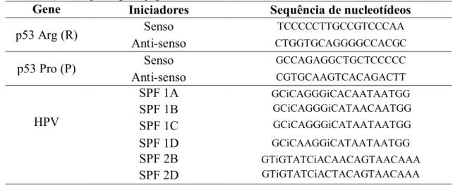Tabela 1: Sequência de nucleotídeos dos iniciadores utilizados para detecção do HPV desenhados por Ketler e  colaboradores (1998) e para a genotipagem de TP53 