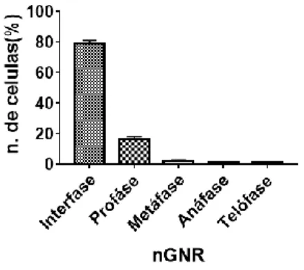 Figura 5 : Média do número de células (%) por fase celular para o GNR nas concentrações de 30 à 150 µg/mL 