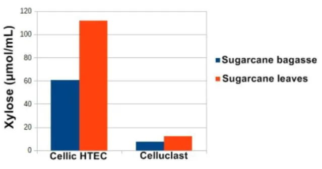 Figure 1. Enzymatic Hydrolysis 