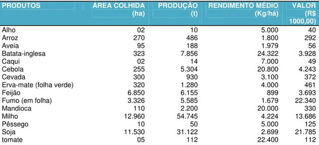Tabela 02: Área colhida, produção, rendimento médio e valor da produção agrícola – 2009