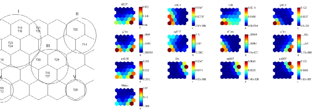 Figura 11 - Grupos formados pelas amostras de tainha e as variáveis avaliadas a partir da rede neural de Kohonen 