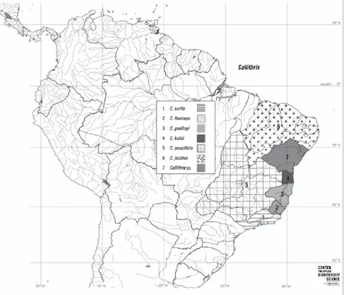 Figura 1 - Mapa de distribuição das espécies de Callithrix no leste brasileiro.